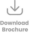 Download PDF